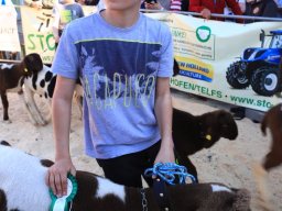 2019_ausstellung polling_706